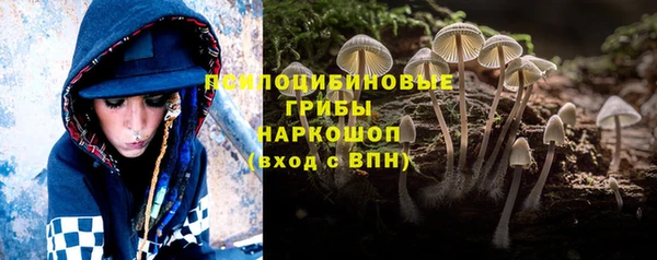 гашик Беломорск