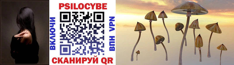 Псилоцибиновые грибы Psilocybine cubensis  Онега 